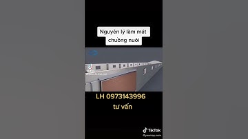 tư vấn thiết kế nhà lạnh. hướng dẫn làm trại lợn. cách làm trang trại lạnh. làm nhà lạnh cho heo