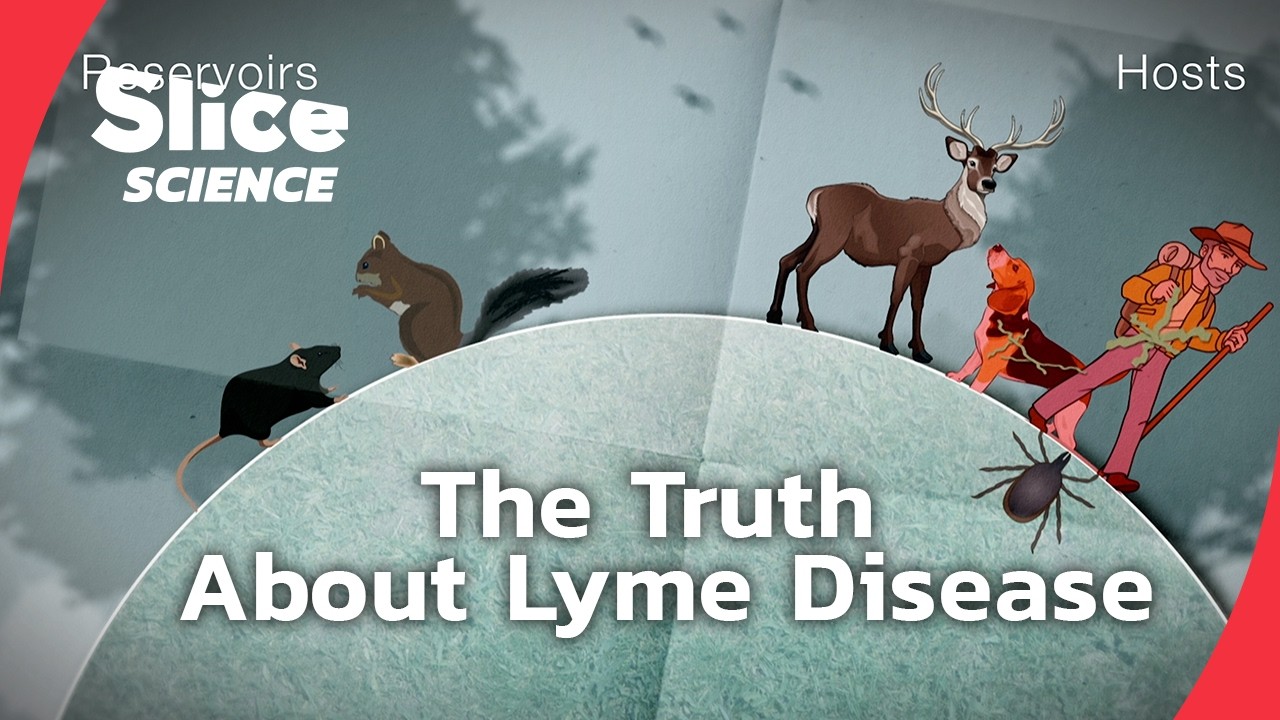 Lyme Disease: The Hidden Epidemic | SLICE SCIENCE | FULL DOC