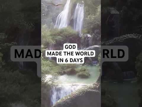 GOD CREATED THE EARTH IN 6 LITERAL DAYS 🌎 The Ark and the Darkness (2024) #youtubeshorts #shorts