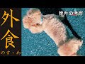 外食するならこんな所に是非行って欲しいですね