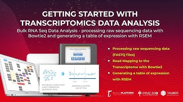 Bulk RNA Seq Data Analysis: Mapping with Bowtie2 & Generating Expression Table with RSEM