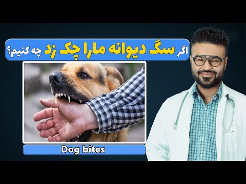 تصویری: آیا واکسن هاری سگ را بیمار می کند؟