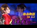 美里里美 プロジェクト~歌ってみた編~【珍島物語】