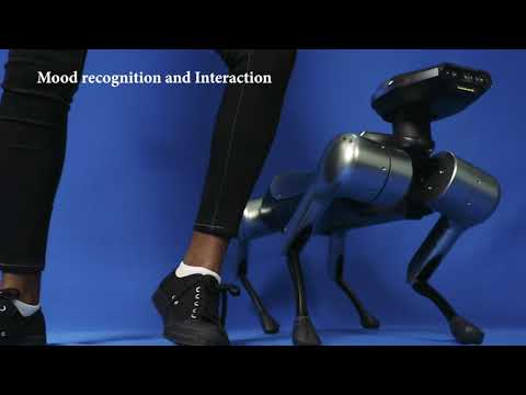 Koda Robot Dog and the exploration of a Robot Guide Dog