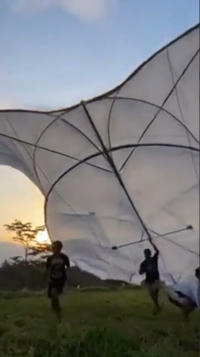 BIGSIZE‼️CELEPUK PUTIH POLOS MENGUDARA ### STORY LAYANGAN CELEPUK BIGSIZE ### SHORTS