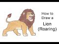How to Draw a Cartoon Lion Roaring