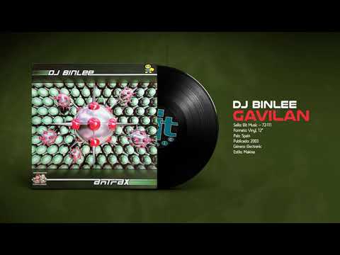 DJ Binlee — 🔊 DJ BINLEE - Gavilan [Bit Music] (2003) HQ