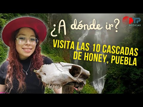 ¿A DÓNDE IR?,VISITA LAS 10 CASCADAS DE HONEY, PUEBLA