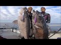 Tokayo Slow Jigging lll(S Slow Jigging VS Three United Kingdom Fighting Fish - Tokayo Slow Jigging lll(S Slow Jigging VS Three United Kingdom Fighting Fish