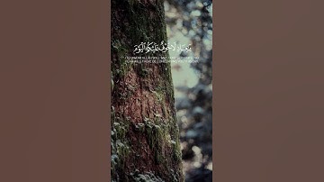 سورة الزخرف - عبد الله رجا الحربي
