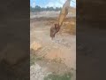 Amazing Excavator Broker/Cambo Construction Machinery #Excavator #HeavyEquipment #Construction