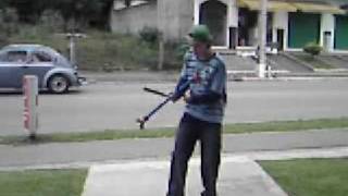 Malabares - Flowers Stick