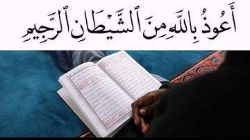 #حالات_واتساب تلاوات مختارة | القارئ عامر عبد الحكيم