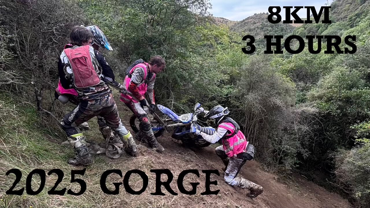 2025 DANSEYS PASS TRAIL RIDE | ADV TREES + EXTREME