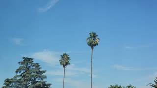 Sunny Very Hot & Light WNW Winds, Monsoon High Vlouds 4:42pm July 16, 2023