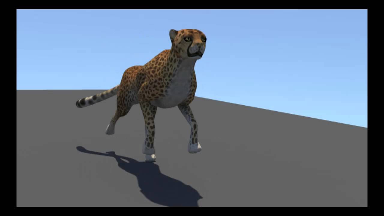 Panther Run