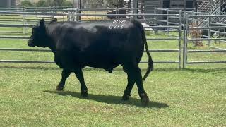 Lot 6 Mountain Valley Precidence U233
