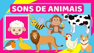 SONS DE ANIMAIS PARA CRIANÇAS | Vídeo educativo infantil