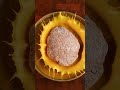 бургер веганский