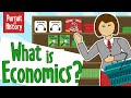 What is economics an intro to economics