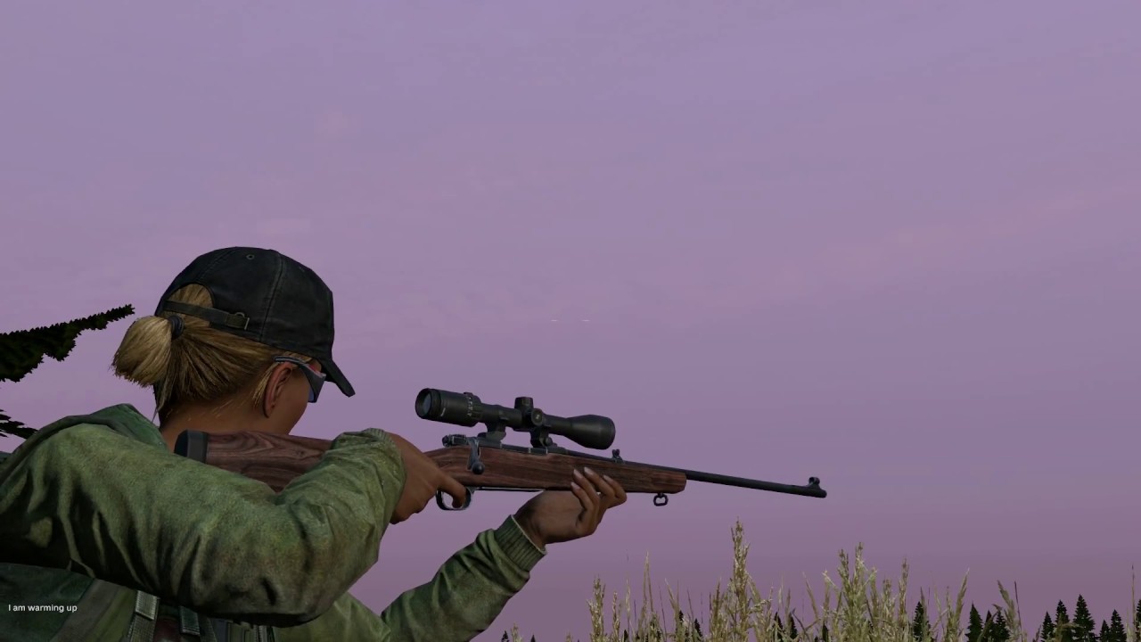 Иж 70 dayz