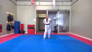 Basics: Reverse Punch