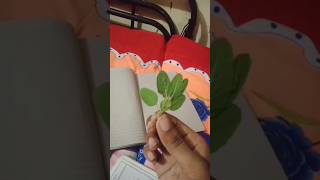 File class 10th sub science 📁✏️🗒📝#shorts #file #@Anshika_official_28