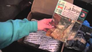 February 2015 Barkbox Last Barkbox