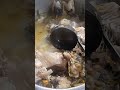 Cooking Fish Broth &amp; BBQ at the Ranch House