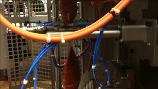 Continuous Motion Vertical Form Fill Seal for Pizza Sauce - Rovema BVL-260