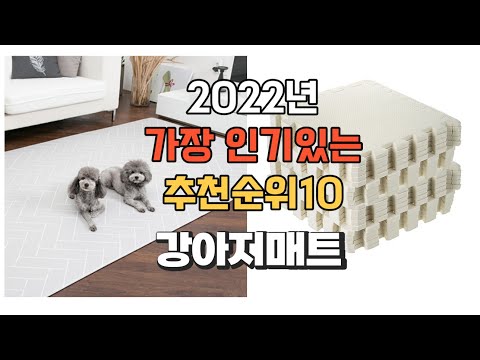이거 강력추천 가성비 최고 강아지매트 비교 추천판매순위 top10