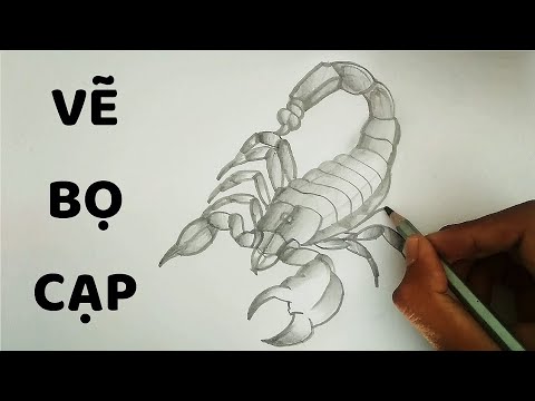 Vẽ Bọ Cạp bằng bút chì - How to draw a Scorpion