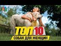 Топ 10 пород собак для женщин | Top 10 dog breeds for women