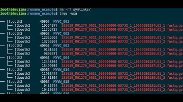 Renaming some files with a shell loop