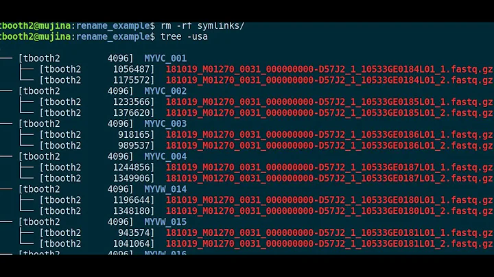 Renaming some files with a shell loop