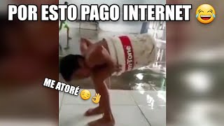 Los Mejores VIDEO MEMES RANDOM DE INTERNET #15, Si Te Ries Pierdes, Try Not To Laugh, Funny Memes