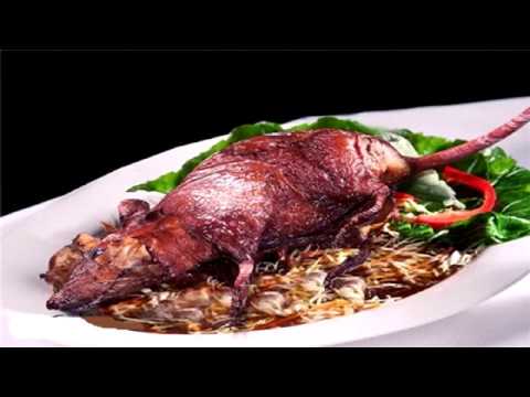 Possum Stew - YouTube