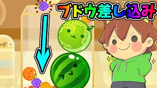 コートチェンジでブドウを差し込む理由とは？🍇【スイカゲーム#34】ゆっくり実況プレイ