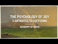 The Psychology of Joy - 3 Antidotes to Suffering