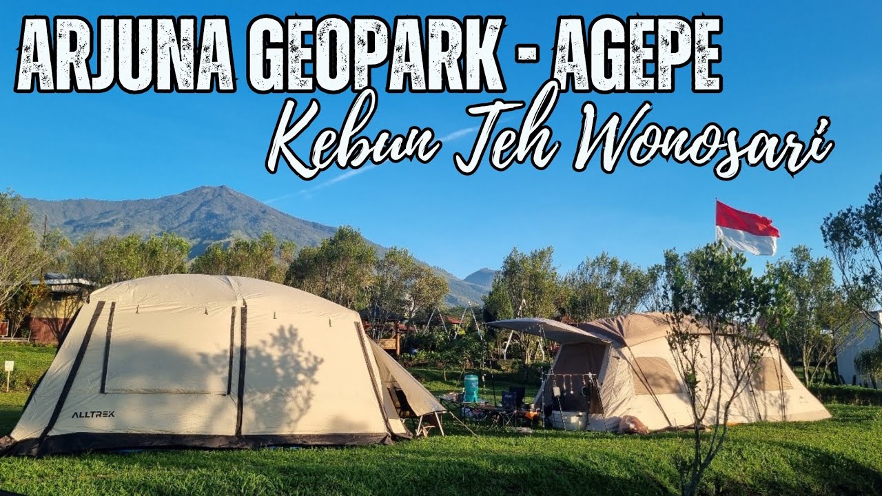 Camping Keluarga di Kebun Teh Wonosari Lawang Malang || Sejuk dan Dingin dengan View Gunung Arjuno