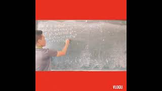 Math 7 (Module 8)