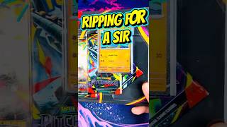 Ripping Pokémon Packs Everyday Until I Pull A SIR - Pitch Black 3 pack Blister (Day 9)