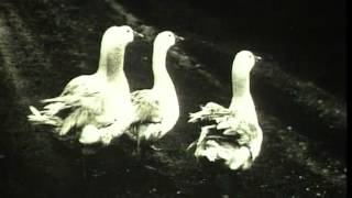 Schubert Schweizerlied D559