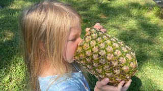 Brookville Lake & Camping Mounds SRA Indiana