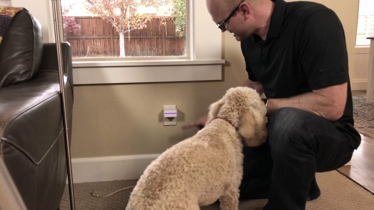 iDevices Switch unboxed, installed and set up with HomeKit and Siri