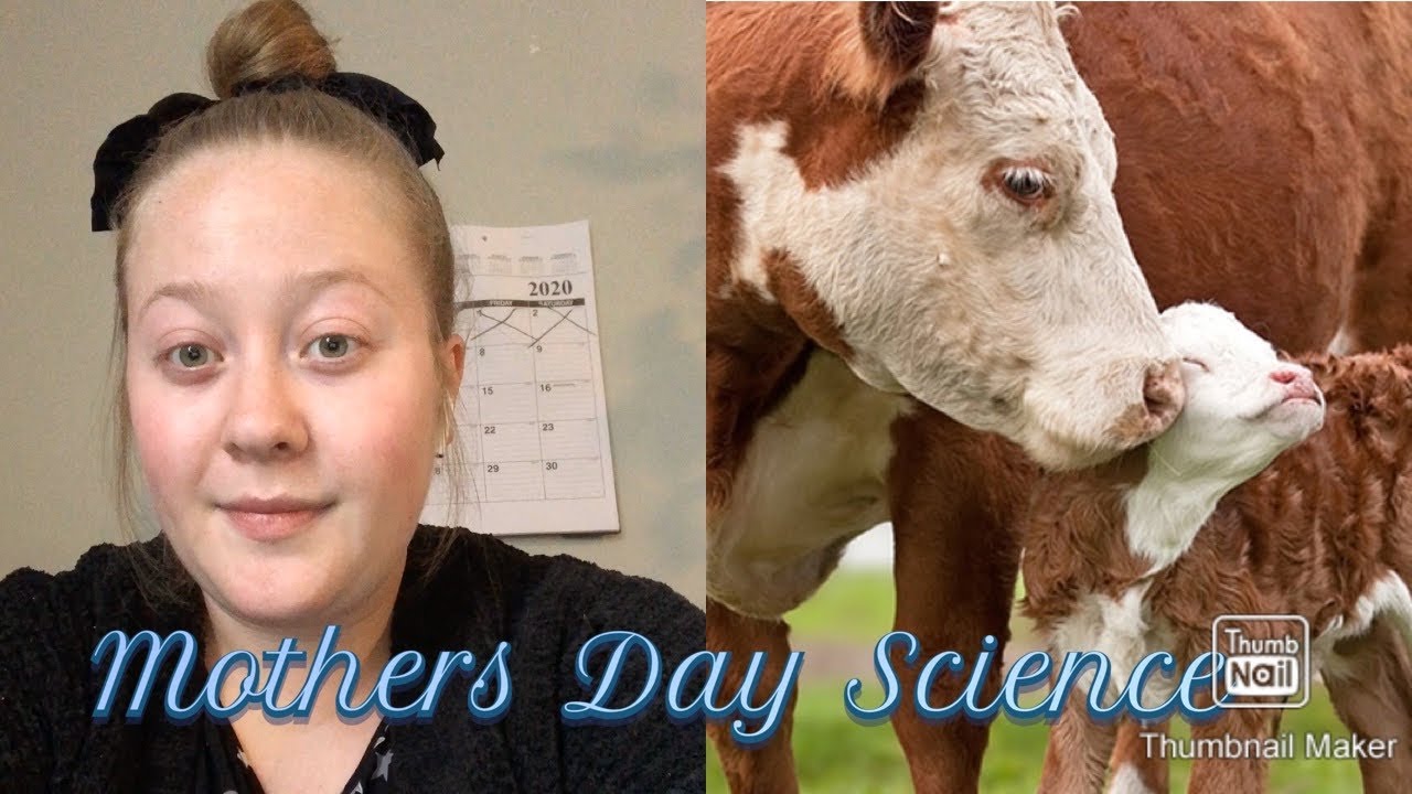 Science Time with Ms. Jamie - Mother's Day - YouTube
