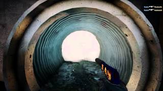 [CSGO] DreamHack Cluj-Napoca 2015 - Flusha vs. C9 - Ace