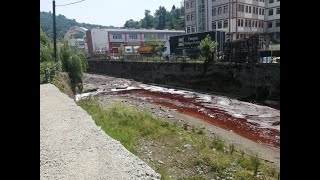 Rize’de Çiftekavak Deresi Kanlı Dere Oldu. Kesilen Onlarca Kurbanın Kanı Dereye , Denize Akıtıldı
