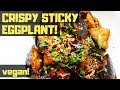 Chinese Crispy Sticky Eggplant with Garlic Sauce: Hong Shao Qiezi  红烧茄子 (Vegan)
