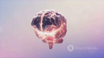 Decoding the Habit Loop  Cue, Routine, R 2024 03 28